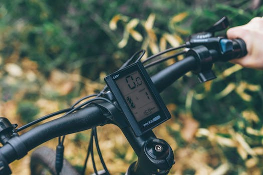 Shaping the Future: Navigating the Digital Transformation of Sports Betting