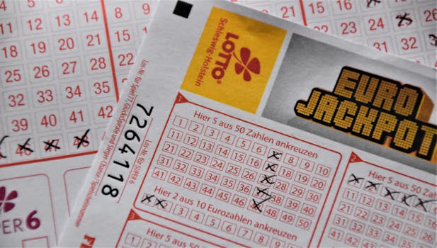 Win Big from Home: Your Guide to Starting with Online Lottery Systems